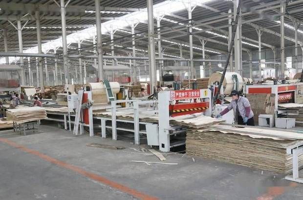 出海参展抱团抢单 邳州木材企业在迪拜签1800万美元订单