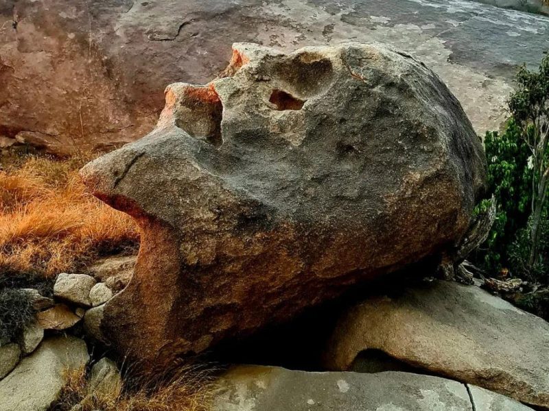沙特南部最美照片：人脸形状的岩石‎